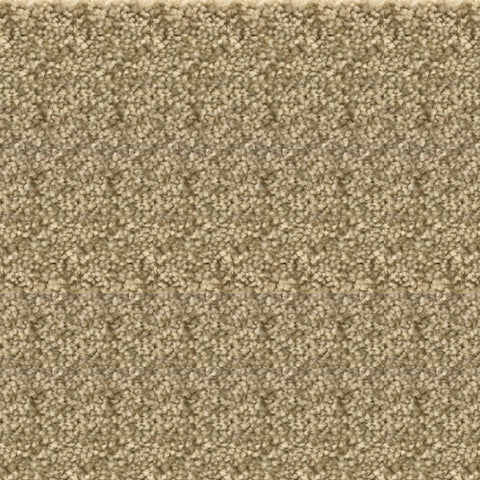 Bodrum 100% Polypropylene Feltback Carpet in Cream