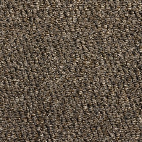 Pastiche 100% Polypropylene Feltback Carpet in Tobacco
