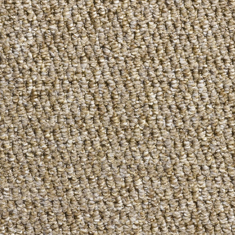 Pastiche 100% Polypropylene Feltback Carpet in Mink