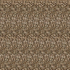 Bodrum 100% Polypropylene Feltback Carpet in Brown