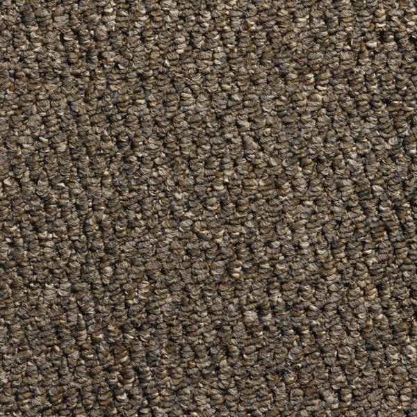 Pastiche 100% Polypropylene Feltback Carpet in Tobacco