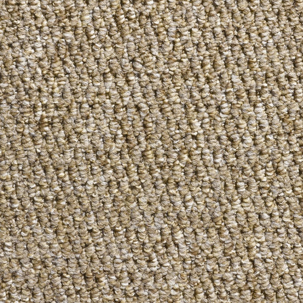 Pastiche 100% Polypropylene Feltback Carpet in Mink